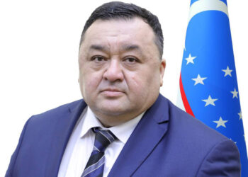 Замминистра инвестиций Узбекистана: «Китай не получает бесплатно узбекские земли»