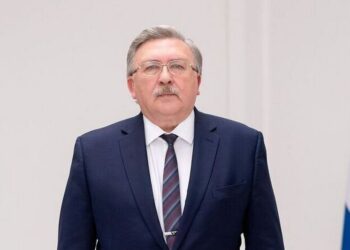 Постпред РФ в Вене: Россия поддерживает дипломатические усилия по иранскому ядерному вопросу