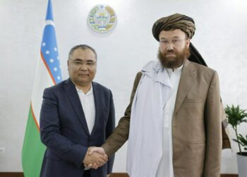 Узбекистан и Афганистан укрепляют аграрное сотрудничество: новые инициативы и перспективы