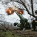 Путин допустил меморандум с Украиной о мирном договоре и прекращении огня