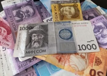 Кыргызстан вводит расчёты исключительно в сомах: новый закон изменит правила торговли и расчётов