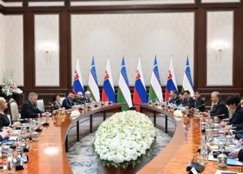 Стратегическое партнерство и проекты Ташкент–Братислава: от аллеи до стартапов