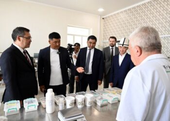 Садыр Жапаров торжественно открыл новый завод строительной керамики