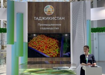 Таджикистан определил приоритеты инвестиций в агропром до 2040 года