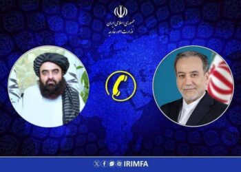 Призыв к единству исламских стран: дипломаты Ирана и Афганистана требуют остановить геноцид в Газе