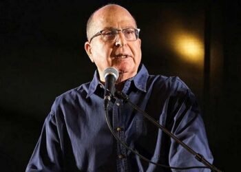 Израиль движется к этнической чистке: экс-министр обороны признал военные преступления в Газе