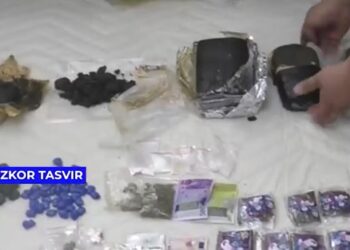 Крупные наркозахваты в Центральной Азии: от квартирных складов до теплиц с томатами