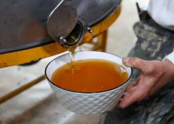 Европейская компания планирует добывать мёд в Казахстане
