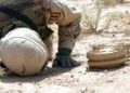 Применяли против США и НАТО: в Афганистане открылась выставка боевой техники талибов 