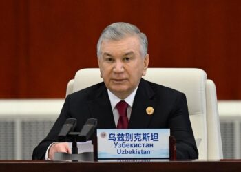 Мирзиёев на саммите ШОС призвал к прекращению конфликта в Газе и уважению международного права