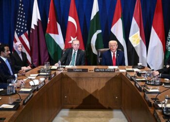 Трамп обсудил урегулирование в Газе с лидерами арабских стран