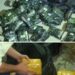 В Узбекистане раскрыта крупная международная наркогруппа: изъято 111 кг наркотиков и задержаны шесть участников