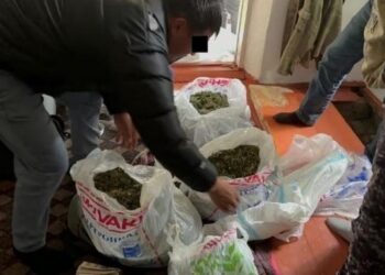 Полтонны наркотиков: в Кыргызстане ликвидирована крупнейшая лаборатория (видео)