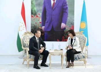 Таджикистан и Казахстан усиливают кооперацию в медицине и соцзащите