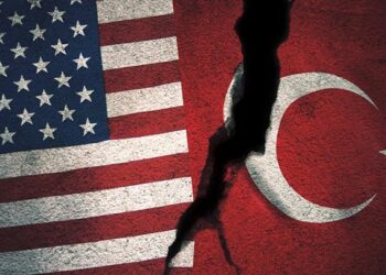 Турция опровергла передачу США своих редкоземельных элементов