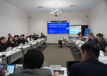 Чистый воздух как право человека: в Кыргызстане обсудили реформу экологического законодательства