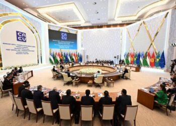 Программы ЕС в Средней Азии: безопасность или подрывная работа?