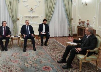 Иран и Турция призвали исламские страны к сплочённости