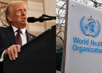 Что несёт за собой выход США из Всемирной организации здравоохранения?