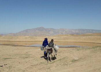 Вода уходит: Центральную Азию ждёт новая волна засух