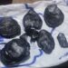 В странах Центральной Азии продолжаются масштабные операции против незаконного оборота наркотиков