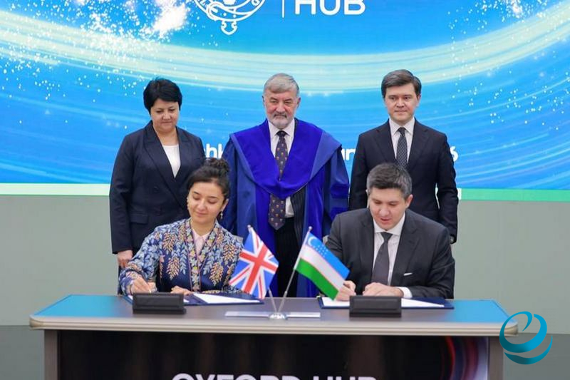 Источник: Университет «Новый Узбекистан»