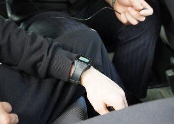 В Кыргызстане внедрят электронные браслеты для контроля за домашними агрессорами