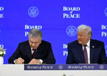 Газа как внешнеполитический тест: зачем Ташкенту «Совет мира»?