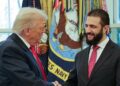 Признание Трампа: за сменой власти в Сирии стоят Соединённые Штаты