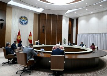 Президент Кыргызстана принял депутатов Европейского парламента