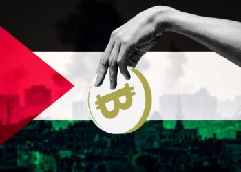 Гуманитарная катастрофа и цифровой эксперимент: почему инициатива США по стейблкоинам в Газе вызывает вопросы