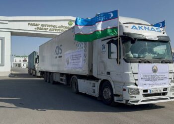 Узбекистан направил в Иран гуманитарную помощь