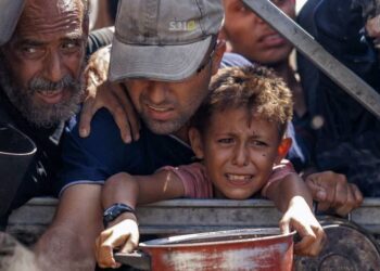 Военные действия против Ирана грозят глобальным голодом — заявление ООН