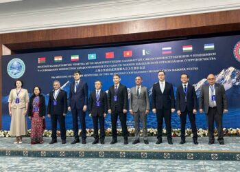 Бишкек становится центром медицинской повестки ШОС: в приоритетах — цифровизация и профилактика