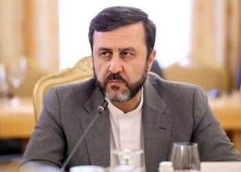 МИД Ирана обвинил Израиль и США в сокрытии правды о Газе и блокировании гуманитарных инициатив