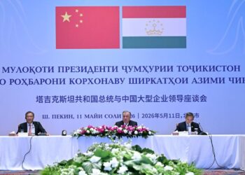 50 соглашений: Таджикистан привлёк $8 млрд китайских инвестиций за один день переговоров