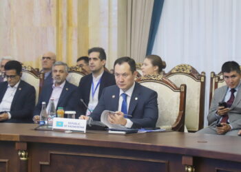 Вице-министр энергетики РК: Астана делает ставку на инвестиции и инфраструктуру в энергетике ШОС