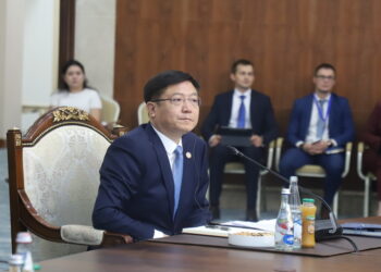 Китай предлагает странам ШОС перейти к практическим энергетическим проектам