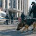 В Бишкеке проверяют более 15 сообщений о якобы заложенных взрывных устройствах