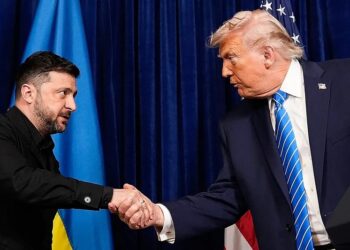 Эксперт: что на самом деле обсуждали Трамп и Зеленский в Белом доме?