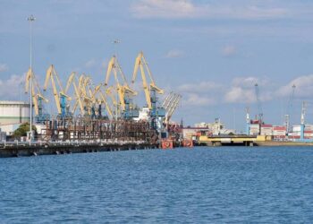 Узбекистан и Грузия создают новую транспортную связку между Азией и Европой
