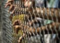 Секретная тюрьма ЦРУ в Литве: спустя 20 лет раскрыты подробности громкого дела