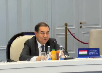 Таджикистан предложил расширить культурные обмены и защиту наследия в рамках ШОС