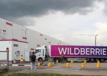 Часть складов Wildberries предложено разместить в Кыргызстане