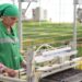Таджикистан рассчитывает создать почти миллион рабочих мест за три года