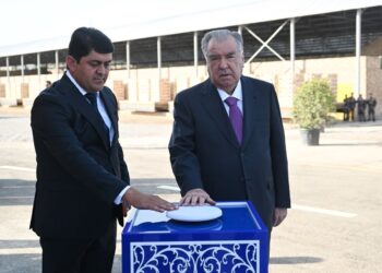 Четыре цементных завода к 2029 году: Рахмон дал старт новым производствам в Таджикистане