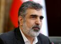Виза как инструмент давления: Иран обвинил США в политизации МАГАТЭ