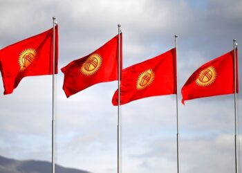 306 партий на 7,4 млн жителей: что стоит за партийным многообразием Кыргызстана?