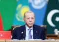 Эрдоган: необходимо усилить роль дипломатии в урегулировании конфликтов, в том числе в Газе и Ливане