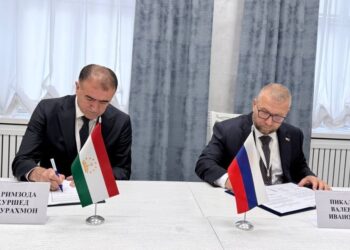От бумаги к цифре: Москва и Душанбе упрощают таможенные процедуры